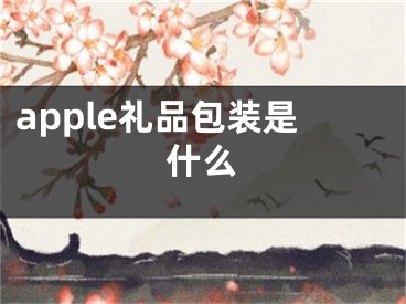 apple礼品包装是什么