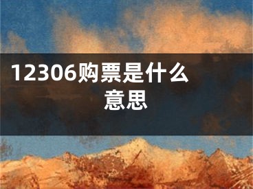 12306购票是什么意思 