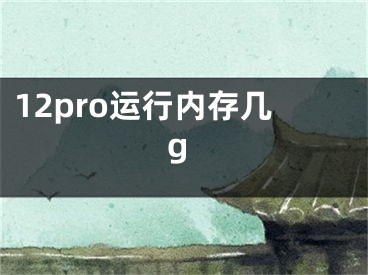 12pro运行内存几g