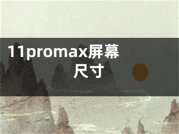 11promax屏幕尺寸