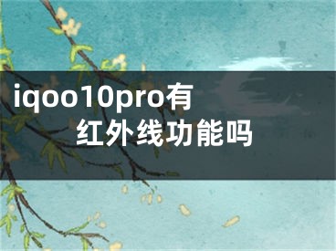 iqoo10pro有红外线功能吗