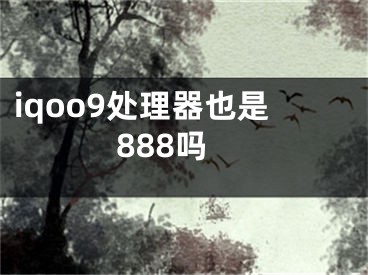 iqoo9处理器也是888吗