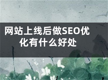 网站上线后做SEO优化有什么好处  