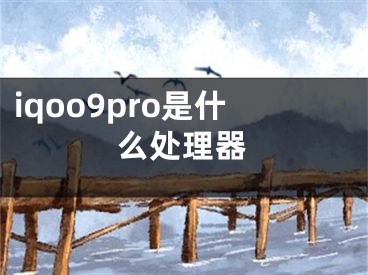 iqoo9pro是什么处理器