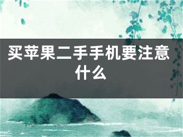 买苹果二手手机要注意什么