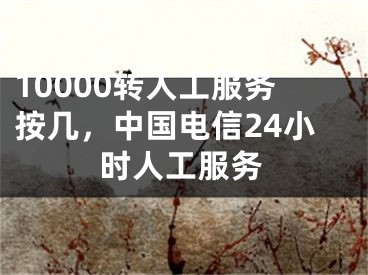 10000转人工服务按几，中国电信24小时人工服务