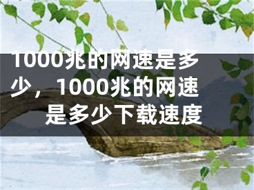 1000兆的网速是多少，1000兆的网速是多少下载速度