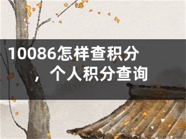 10086怎样查积分，个人积分查询