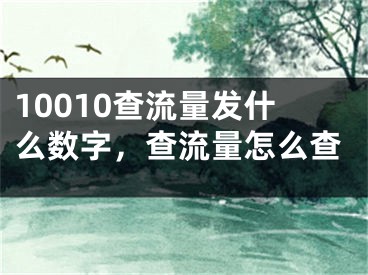 10010查流量发什么数字，查流量怎么查