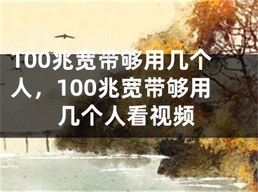 100兆宽带够用几个人，100兆宽带够用几个人看视频