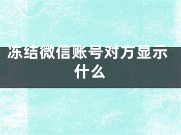 冻结微信账号对方显示什么