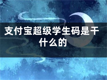 支付宝超级学生码是干什么的