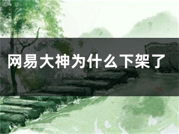 网易大神为什么下架了