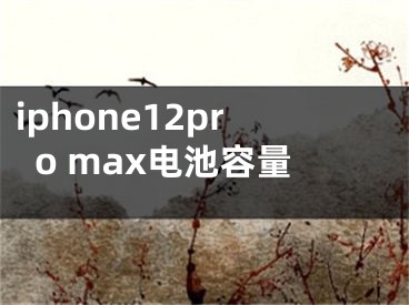 iphone12pro max电池容量