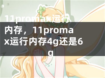 11promax运行内存，11promax运行内存4g还是6g