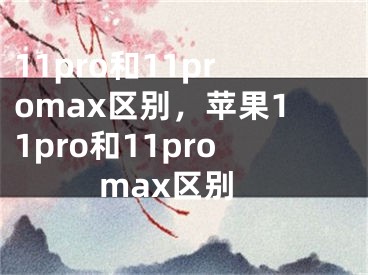 11pro和11promax区别，苹果11pro和11promax区别