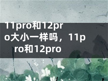 11pro和12pro大小一样吗，11pro和12pro