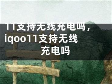 11支持无线充电吗，iqoo11支持无线充电吗