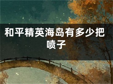 和平精英海岛有多少把喷子