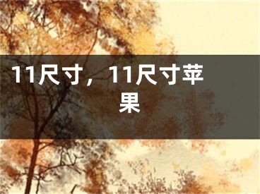 11尺寸，11尺寸苹果