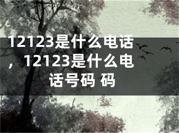 12123是什么电话，12123是什么电话号码 码