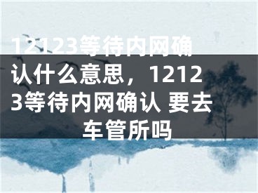 12123等待内网确认什么意思，12123等待内网确认 要去车管所吗