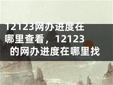 12123网办进度在哪里查看，12123的网办进度在哪里找