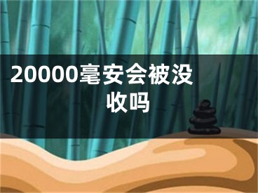 20000毫安会被没收吗