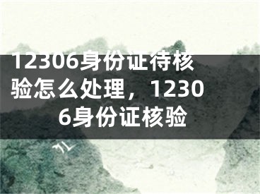 12306身份证待核验怎么处理，12306身份证核验