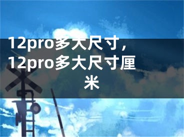 12pro多大尺寸，12pro多大尺寸厘米