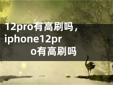 12pro有高刷吗，iphone12pro有高刷吗