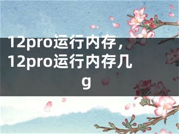 12pro运行内存，12pro运行内存几g