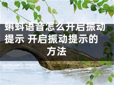 蝌蚪语音怎么开启振动提示 开启振动提示的方法