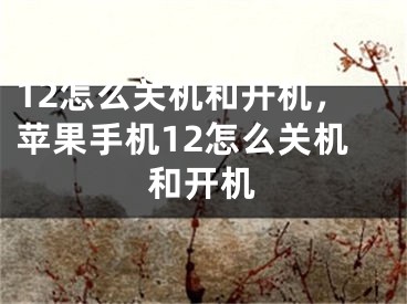 12怎么关机和开机，苹果手机12怎么关机和开机
