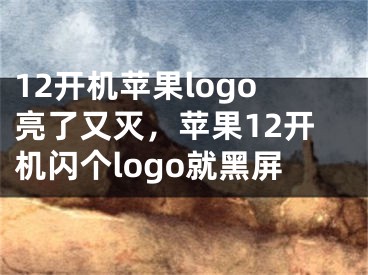 12开机苹果logo亮了又灭，苹果12开机闪个logo就黑屏