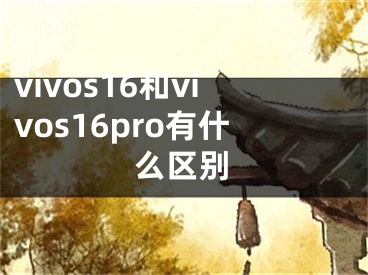 vivos16和vivos16pro有什么区别