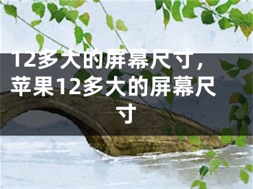 12多大的屏幕尺寸，苹果12多大的屏幕尺寸