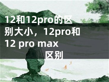 12和12pro的区别大小，12pro和12 pro max区别