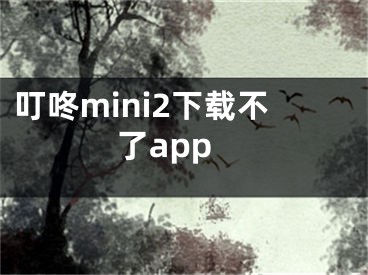 叮咚mini2下载不了app