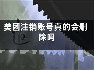 美团注销账号真的会删除吗