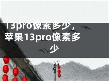 13pro像素多少，苹果13pro像素多少