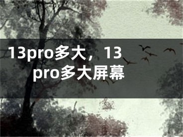 13pro多大，13pro多大屏幕