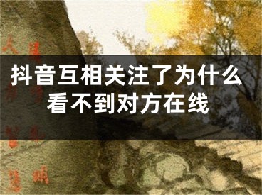 抖音互相关注了为什么看不到对方在线