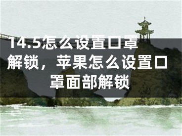 14.5怎么设置口罩解锁，苹果怎么设置口罩面部解锁