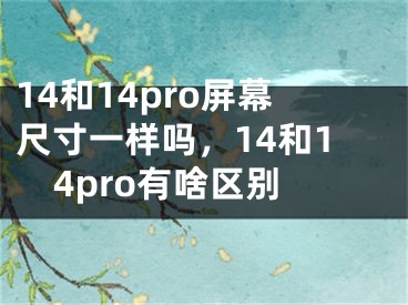 14和14pro屏幕尺寸一样吗，14和14pro有啥区别