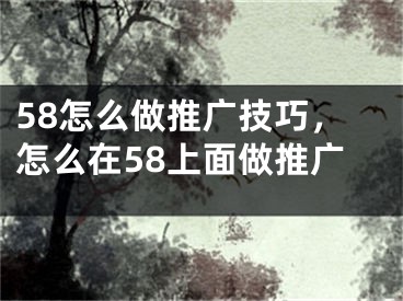 58怎么做推广技巧，怎么在58上面做推广