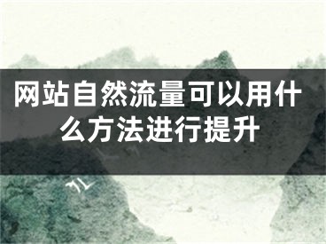 网站自然流量可以用什么方法进行提升 