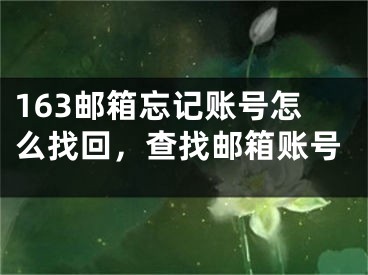 163邮箱忘记账号怎么找回，查找邮箱账号