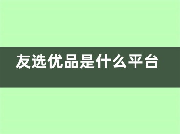 友选优品是什么平台