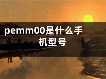 pemm00是什么手机型号